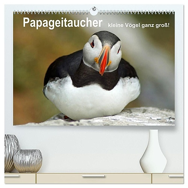 Papageitaucher - kleine Vögel ganz gross! (hochwertiger Premium Wandkalender 2024 DIN A2 quer), Kunstdruck in Hochglanz, Babett Paul - Babett's Bildergalerie