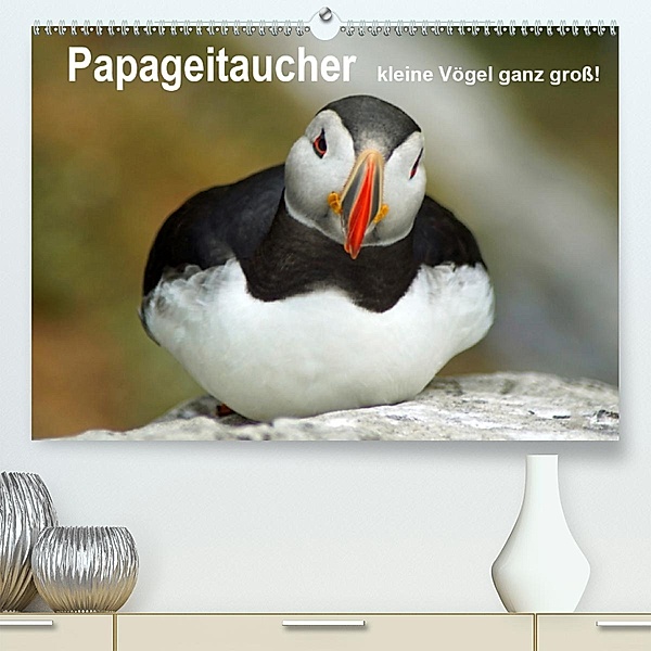 Papageitaucher - kleine Vögel ganz groß!(Premium, hochwertiger DIN A2 Wandkalender 2020, Kunstdruck in Hochglanz), Babett Paul - Babett's Bildergalerie