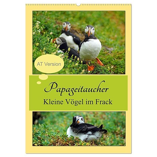 Papageitaucher Kleine Vögel im Frack AT Version (Wandkalender 2024 DIN A2 hoch), CALVENDO Monatskalender, Babett Paul - Babett's Bildergalerie