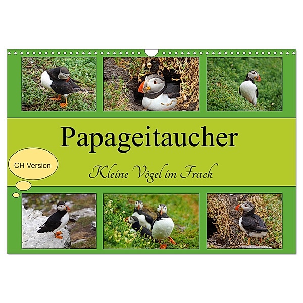 Papageitaucher Kleine Vögel im Frack CH Version (Wandkalender 2024 DIN A3 quer), CALVENDO Monatskalender, Babett Paul - Babett's Bildergalerie