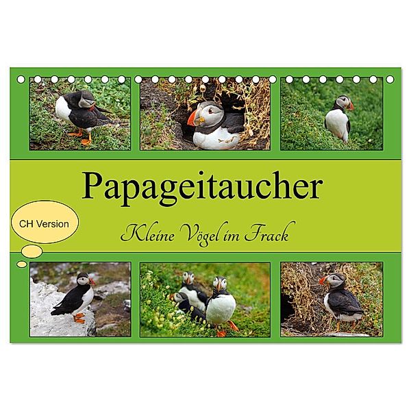Papageitaucher Kleine Vögel im Frack CH Version (Tischkalender 2024 DIN A5 quer), CALVENDO Monatskalender, Babett Paul - Babett's Bildergalerie