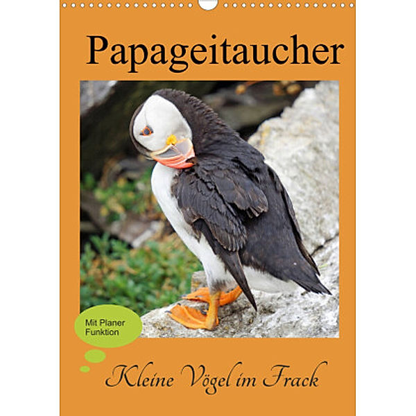 Papageitaucher - Kleine Vögel im Frack (Wandkalender 2022 DIN A3 hoch), Babett Paul - Babett's Bildergalerie