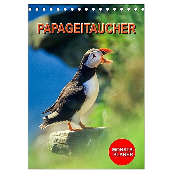 Papageitaucher Monatsplaner (Tischkalender 2024 DIN A5 hoch), CALVENDO Monatskalender, Carola Vahldiek