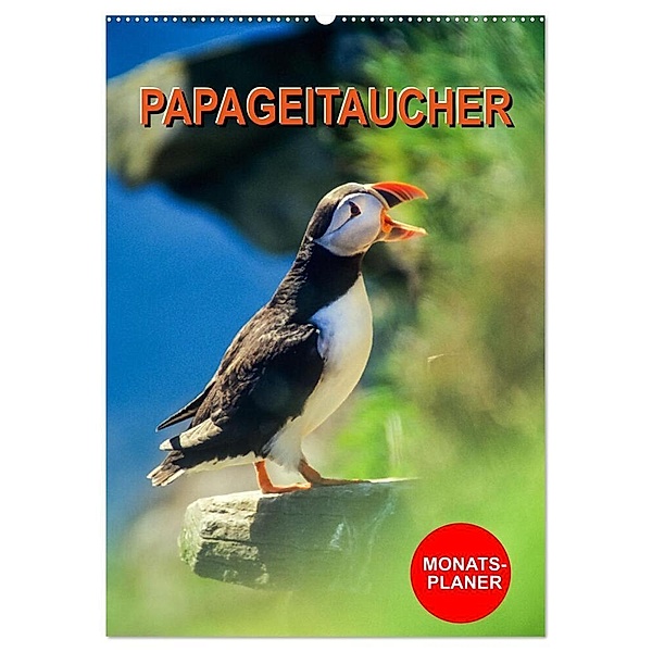 Papageitaucher Monatsplaner (Wandkalender 2024 DIN A2 hoch), CALVENDO Monatskalender, Carola Vahldiek