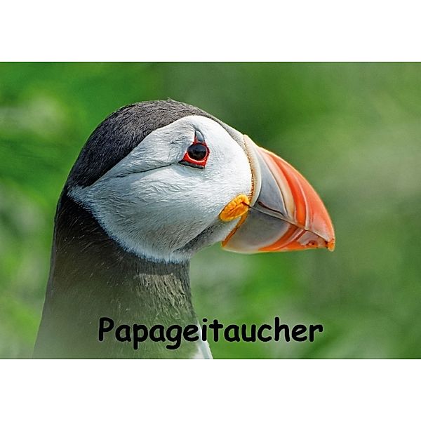 Papageitaucher (Posterbuch DIN A3 quer), Gerald Wolf