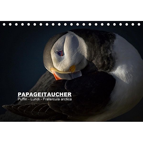 Papageitaucher: Puffin - Lundi - Fratercula arctica (Tischkalender 2021 DIN A5 quer), Norman Preißler