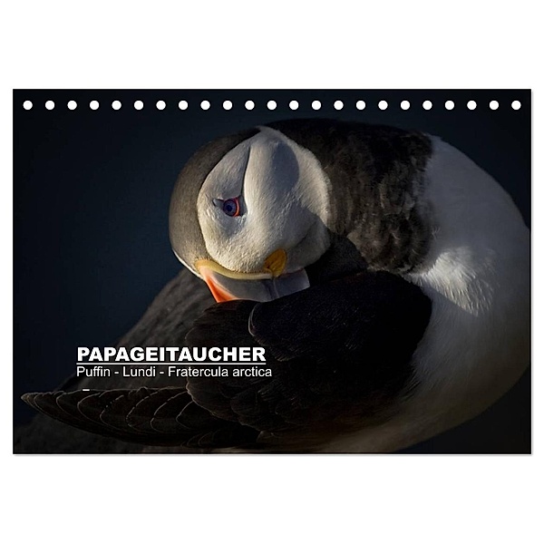 Papageitaucher: Puffin - Lundi - Fratercula arctica (Tischkalender 2024 DIN A5 quer), CALVENDO Monatskalender, Norman Preißler
