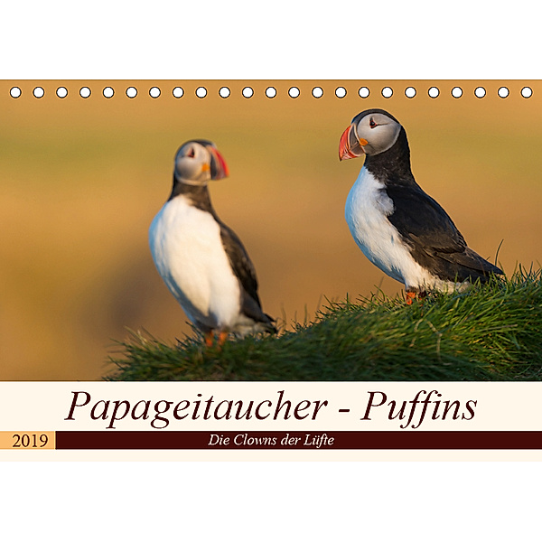 Papageitaucher - Puffins (Tischkalender 2019 DIN A5 quer), Olaf Jürgens