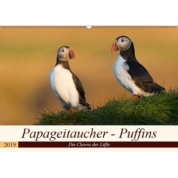 Papageitaucher - Puffins (Wandkalender 2019 DIN A2 quer), Olaf Jürgens