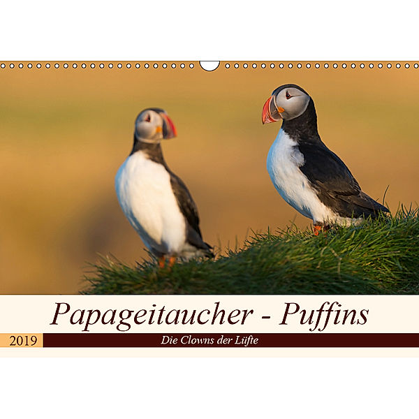 Papageitaucher - Puffins (Wandkalender 2019 DIN A3 quer), Olaf Jürgens