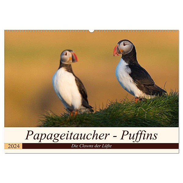 Papageitaucher - Puffins (Wandkalender 2024 DIN A2 quer), CALVENDO Monatskalender, Olaf Jürgens