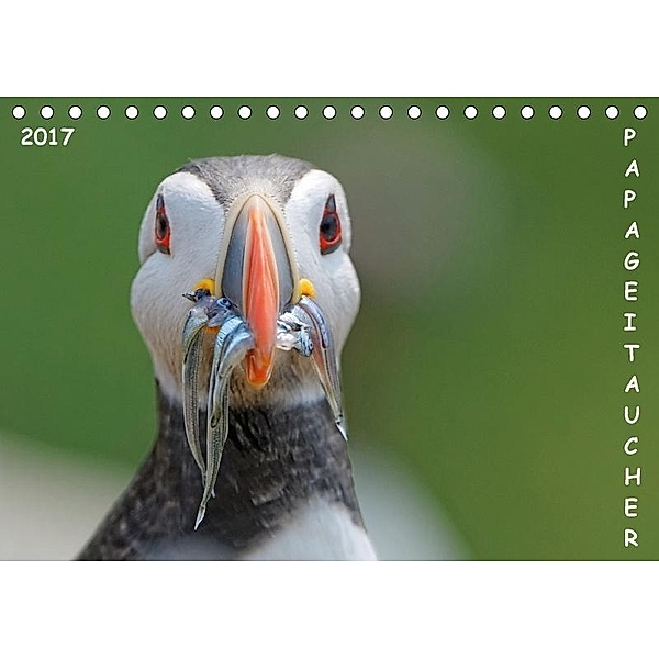 Papageitaucher (Tischkalender 2017 DIN A5 quer), Gerald Wolf