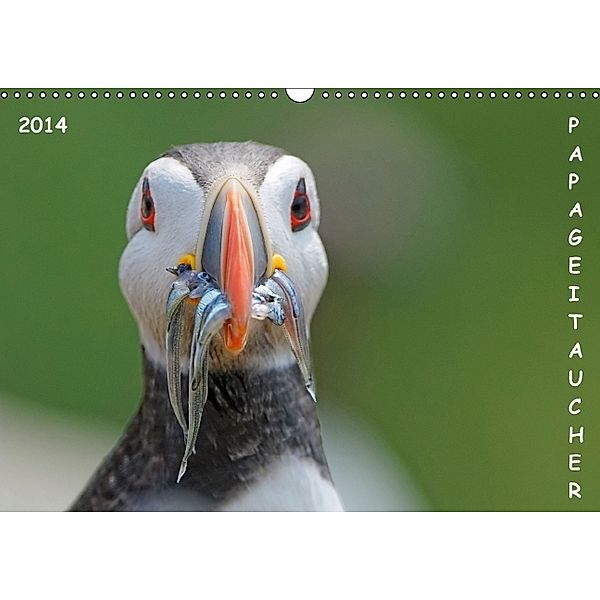 Papageitaucher (Wandkalender 2014 DIN A3 quer), Gerald Wolf