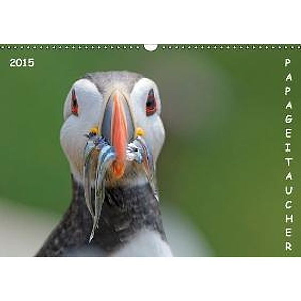 Papageitaucher (Wandkalender 2015 DIN A3 quer), Gerald Wolf
