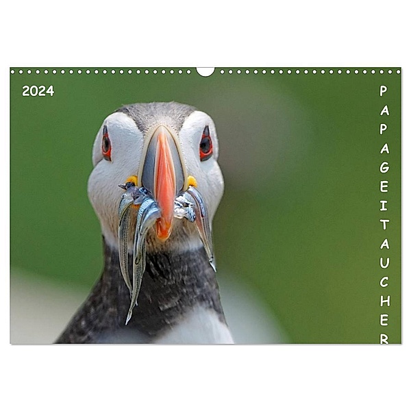 Papageitaucher (Wandkalender 2024 DIN A3 quer), CALVENDO Monatskalender, Gerald Wolf