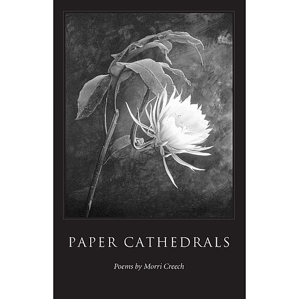 Paper Cathedrals, Morri Creech