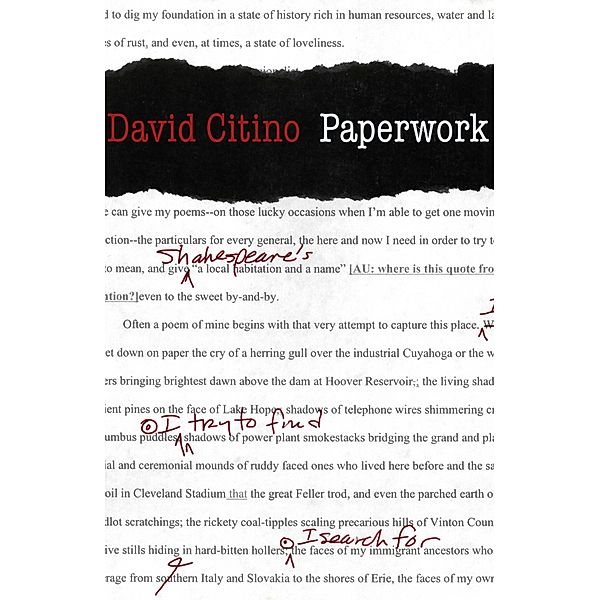 Paperwork, David Citino