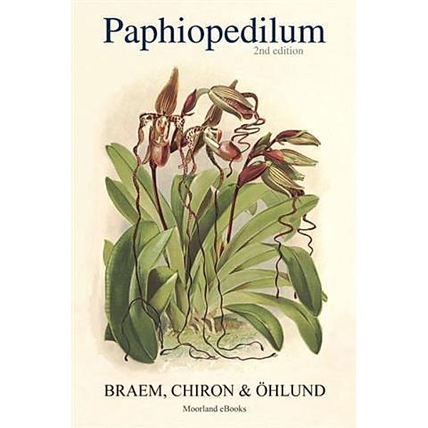 Paphiopedilum, Braem