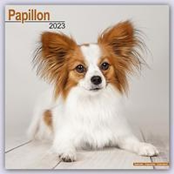 Papillon 2023 - 16-Monatskalender, Avonside Publishing Ltd