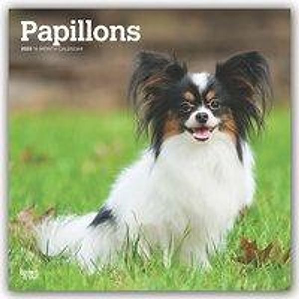 Papillons 2020, BrownTrout Publisher