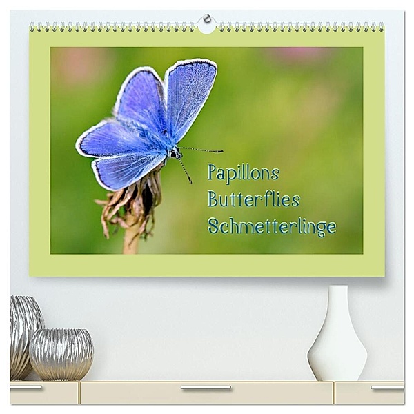Papillons-Butterflies-Schmetterlinge (hochwertiger Premium Wandkalender 2024 DIN A2 quer), Kunstdruck in Hochglanz, Karin Berger (Kabefa)