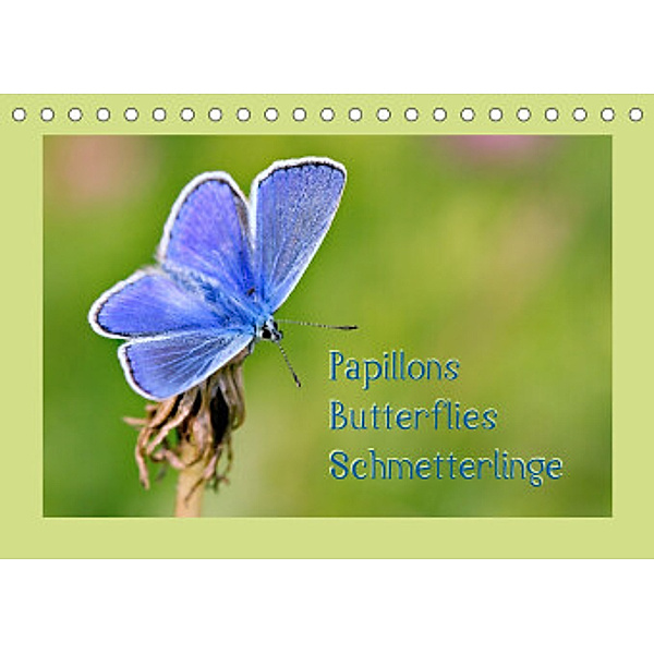 Papillons-Butterflies-Schmetterlinge (Tischkalender 2022 DIN A5 quer), Karin Berger (Kabefa)