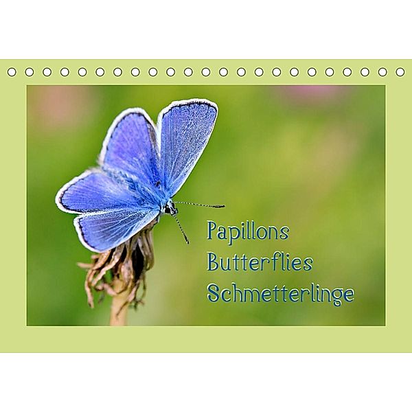 Papillons-Butterflies-Schmetterlinge (Tischkalender 2023 DIN A5 quer), Karin Berger (Kabefa)