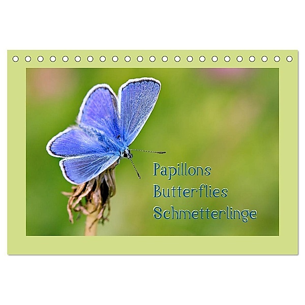 Papillons-Butterflies-Schmetterlinge (Tischkalender 2024 DIN A5 quer), CALVENDO Monatskalender, Karin Berger (Kabefa)