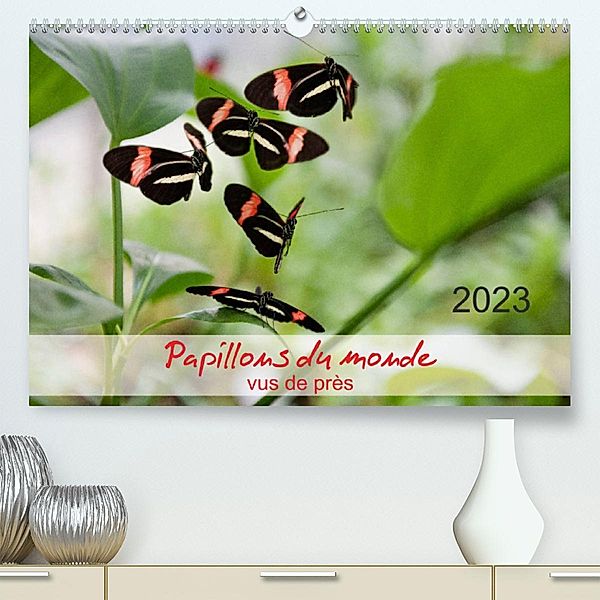 Papillons du monde, vus de près (Premium, hochwertiger DIN A2 Wandkalender 2023, Kunstdruck in Hochglanz), Thomas Zeidler