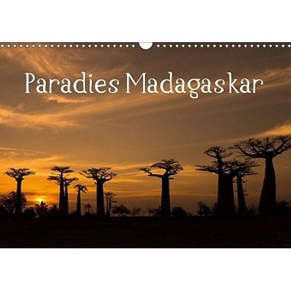 Paradies Madagaskar (Wandkalender 2020 DIN A3 quer)