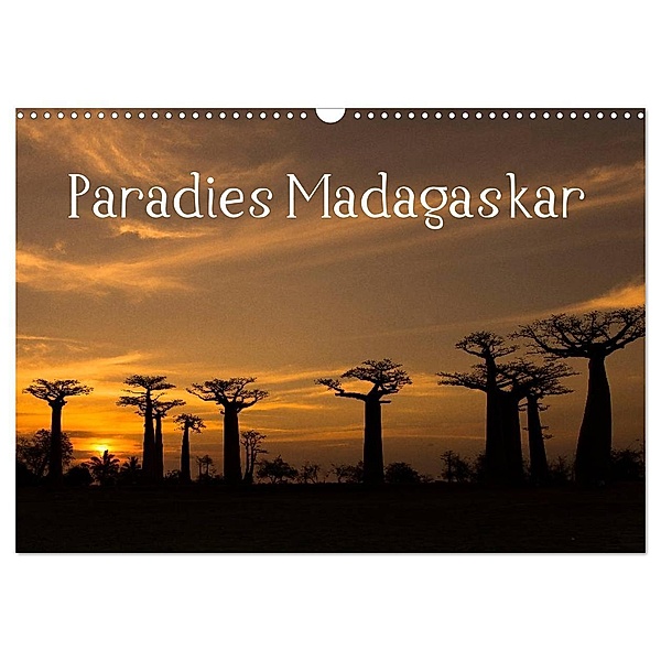 Paradies Madagaskar (Wandkalender 2024 DIN A3 quer), CALVENDO Monatskalender, www.augenblicke-antoniewski.de