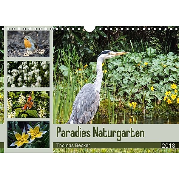 Paradies Naturgarten (Wandkalender 2018 DIN A4 quer) Dieser erfolgreiche Kalender wurde dieses Jahr mit gleichen Bildern, Thomas Becker