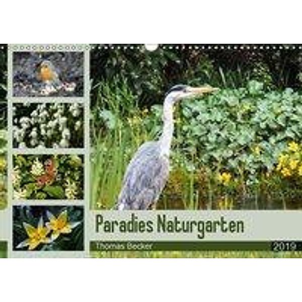 Paradies Naturgarten (Wandkalender 2019 DIN A3 quer), Thomas Becker