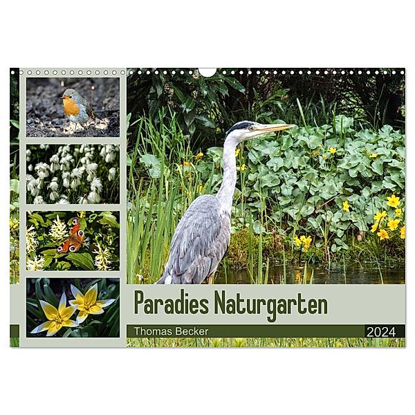 Paradies Naturgarten (Wandkalender 2024 DIN A3 quer), CALVENDO Monatskalender, Thomas Becker