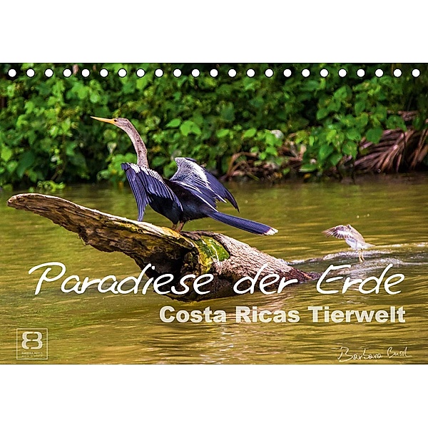 Paradiese der Erde: Costa Ricas Tierwelt (Tischkalender 2021 DIN A5 quer), Barbara Busch
