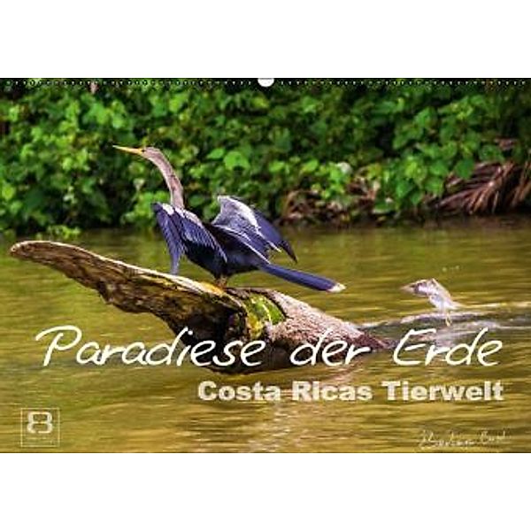 Paradiese der Erde: Costa Ricas Tierwelt (Wandkalender 2016 DIN A2 quer), Barbara Busch