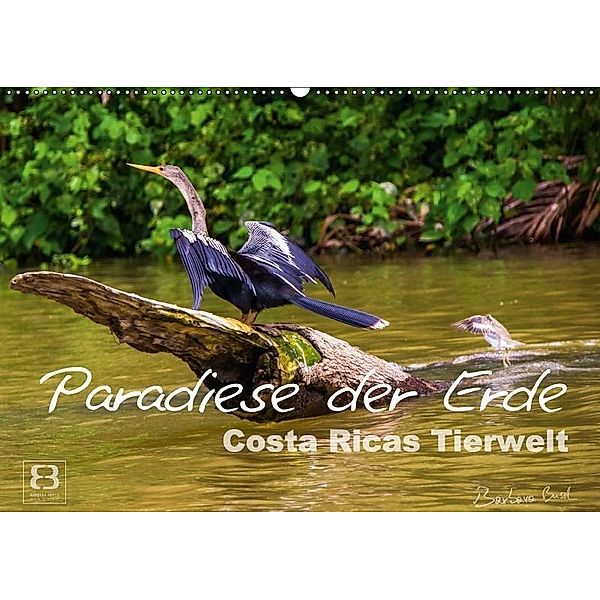 Paradiese der Erde: Costa Ricas Tierwelt (Wandkalender 2017 DIN A2 quer), Barbara Busch