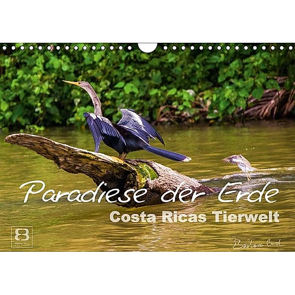Paradiese der Erde: Costa Ricas Tierwelt (Wandkalender 2018 DIN A4 quer) Dieser erfolgreiche Kalender wurde dieses Jahr, Barbara Busch