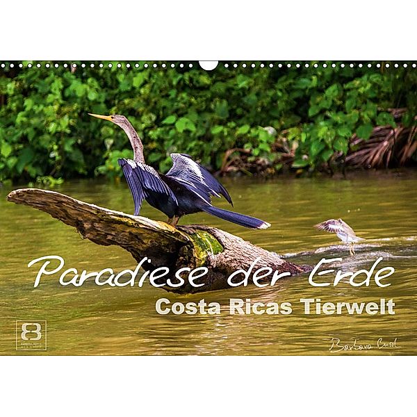 Paradiese der Erde: Costa Ricas Tierwelt (Wandkalender 2021 DIN A3 quer), Barbara Busch