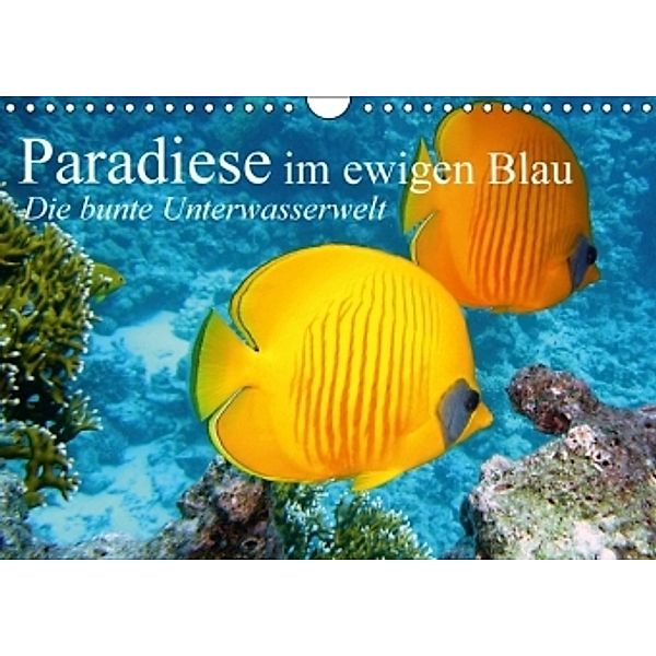 Paradiese im ewigen Blau. Die bunte Unterwasserwelt (Wandkalender 2016 DIN A4 quer), Elisabeth Stanzer