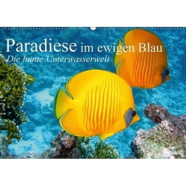 Paradiese im ewigen Blau. Die bunte Unterwasserwelt (Wandkalender 2017 DIN A2 quer), Elisabeth Stanzer