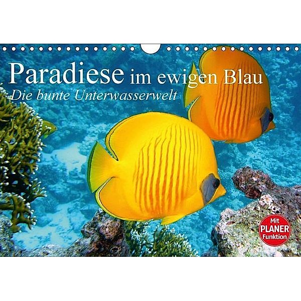 Paradiese im ewigen Blau. Die bunte Unterwasserwelt (Wandkalender 2017 DIN A4 quer), Elisabeth Stanzer