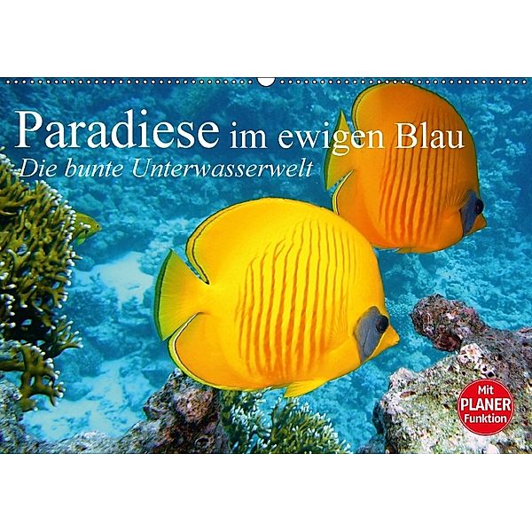 Paradiese im ewigen Blau. Die bunte Unterwasserwelt (Wandkalender 2018 DIN A2 quer), Elisabeth Stanzer