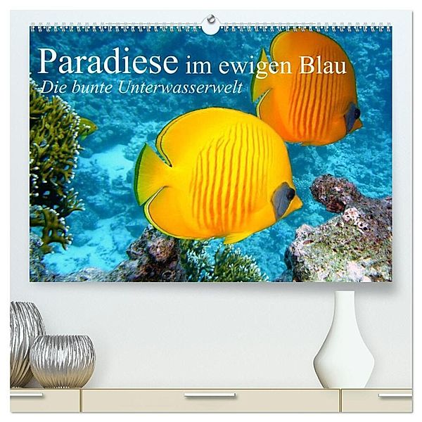 Paradiese im ewigen Blau. Die bunte Unterwasserwelt (hochwertiger Premium Wandkalender 2024 DIN A2 quer), Kunstdruck in Hochglanz, Elisabeth Stanzer