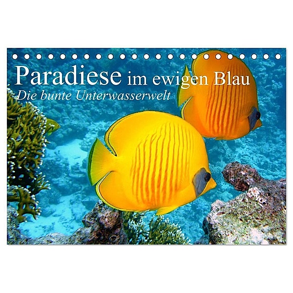 Paradiese im ewigen Blau. Die bunte Unterwasserwelt (Tischkalender 2024 DIN A5 quer), CALVENDO Monatskalender, Elisabeth Stanzer