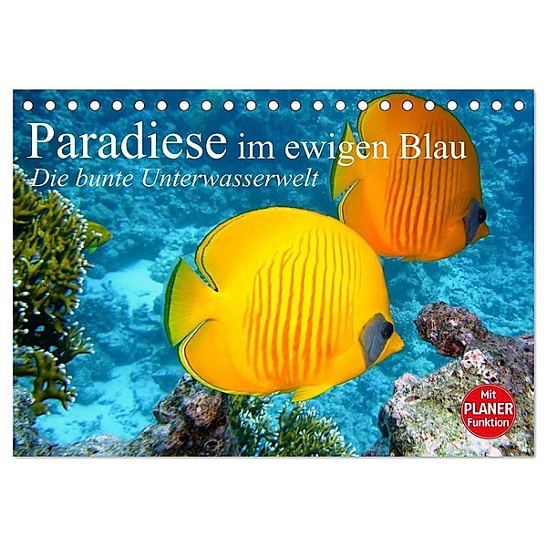 Paradiese im ewigen Blau. Die bunte Unterwasserwelt (Tischkalender 2024 DIN A5 quer), CALVENDO Monatskalender, Elisabeth Stanzer