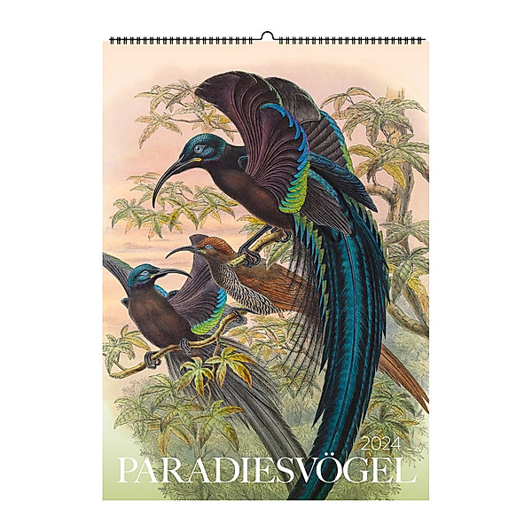 Paradiesvögel. Wandkalender 2024, François Levaillant