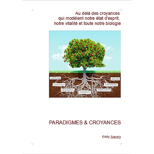 Paradigmes & croyances / Librinova, Savary Eddy Savary