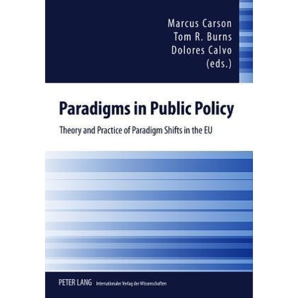 Paradigms in Public Policy