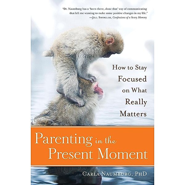Parenting in the Present Moment, Carla Naumburg
